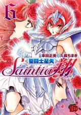 聖闘士星矢セインティア翔　6 パッケージ画像