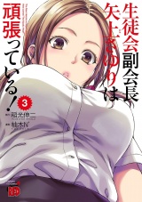 生徒会副会長矢上さゆりは頑張っている！　3 パッケージ画像