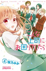 こんな上司にお困りでしたら　4 パッケージ画像