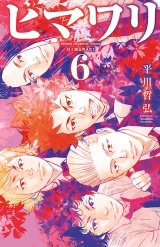 ヒマワリ　6 パッケージ画像