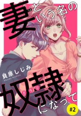 妻という名の奴●（どうぐ）になって(話売り)　#2 パッケージ画像
