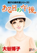 翔子の事件簿シリーズ!!　30　ある日の午後 パッケージ画像