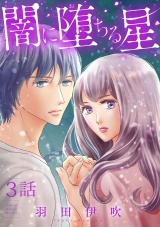 【分冊版】闇に堕ちる星　3 パッケージ画像
