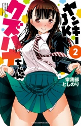 ヤンキーJKクズハナちゃん　2 パッケージ画像