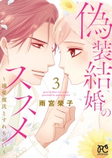 偽装結婚のススメ 〜溺愛彼氏とすれちがい〜【電子単行本】　3 パッケージ画像