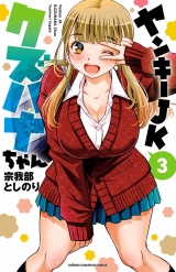 ヤンキーJKクズハナちゃん　3 パッケージ画像