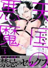 天国の悪魔3 パッケージ画像