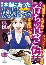 本当にあった女の人生ドラマ Vol.65 “育ちの良さ”偽装 パッケージ画像