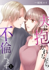 夫に抱かれながら、不倫します１ パッケージ画像