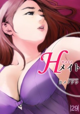 Hメイト 29巻 パッケージ画像