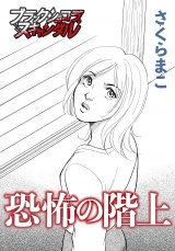 恐怖の階上 パッケージ画像