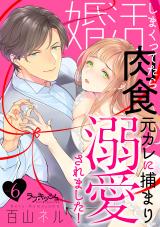 婚活しまくってたら肉食元カレに捕まり溺愛されました！6 パッケージ画像