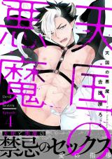 天国の悪魔4 パッケージ画像