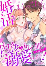 婚活しまくってたら肉食元カレに捕まり溺愛されました！【電子単行本限定描き下ろし漫画付き】 パッケージ画像