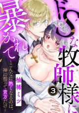 ドSな牧師様に暴かれて〜こんなに熱くなるのは、神に誓って貴方だけ〜（3） パッケージ画像