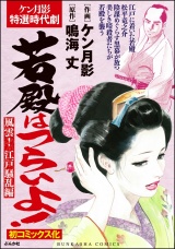 若殿はつらいよ！ 風雲！　江戸騒乱編 パッケージ画像