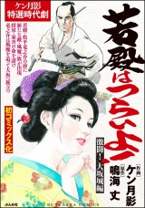 若殿はつらいよ！ 激闘！　大坂城編 パッケージ画像