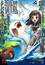 【分冊版】転生したら小魚だったけど龍になれるらしいので頑張ります 第11話 パッケージ画像