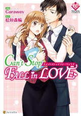 Can't Stop Fall in Love パッケージ画像