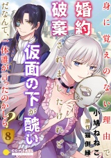 身に覚えのない理由で婚約破棄されましたけれど、仮面の下が醜いだなんて、一体誰が言ったのかしら？（8） パッケージ画像