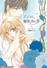 【新装版】CEOと秘密の夜の夢 パッケージ画像