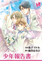 【分冊版】少年報告書  パッケージ画像