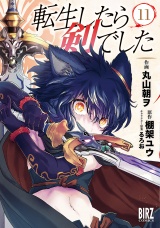 転生したら剣でした (11)【電子限定おまけ付き】 パッケージ画像