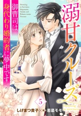 【分冊版】溺甘クルーズ〜御曹司は身代わり婚約者に夢中です〜5話 パッケージ画像