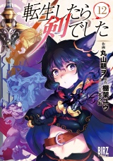 転生したら剣でした (12) 【電子限定おまけ付き】 パッケージ画像