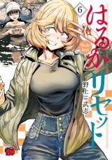 はるかリセット　6 パッケージ画像