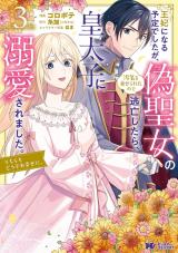 王妃になる予定でしたが、偽聖女の汚名を着せられたので逃亡したら、皇太子に溺愛されました。そちらもどうぞお幸せに。(コミック)（3巻） パッケージ画像