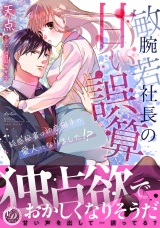 敏腕若社長の甘い誤算〜鈍感秘書は初恋相手の愛人になりました!?〜 パッケージ画像表