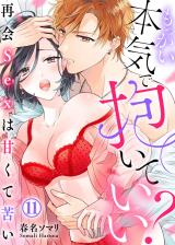 もっかい本気で抱いていい?~再会Sexは甘くて苦い~(11) パッケージ画像表