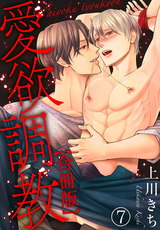 愛欲調教合冊版7 パッケージ画像表