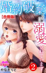 婚約破棄されたのに溺愛されています 合冊版(2巻) パッケージ画像表