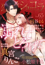 恋愛ショコラ vol.65【限定おまけ付き】 パッケージ画像