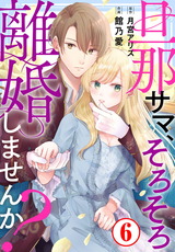 旦那サマ、そろそろ離婚しませんか?6 パッケージ画像表