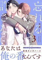 忘れるなんて許さない 分冊版（第3話） パッケージ画像