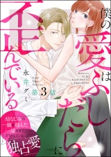 【分冊版】僕の愛はふしだらに歪んでいる 【第3話】 パッケージ画像