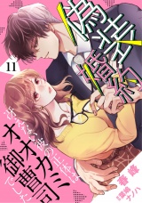 【分冊版】偽装婚約〜冴えない彼の正体はオオカミ御曹司でした〜11話 パッケージ画像