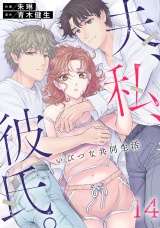 夫、私、彼氏。〜いびつな共同生活(14) パッケージ画像