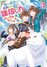 騙され裏切られ処刑された私が……誰を信じられるというのでしょう？(コミック)（3巻） パッケージ画像