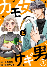 カモ女とサギ男3 パッケージ画像