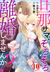 旦那サマ、そろそろ離婚しませんか？10 パッケージ画像