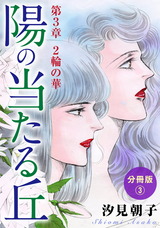 陽の当たる丘　分冊版8 パッケージ画像