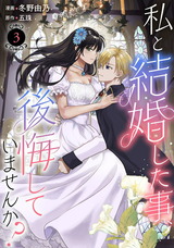 私と結婚した事、後悔していませんか？3 パッケージ画像