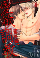 愛欲調教26 パッケージ画像表