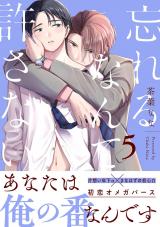 忘れるなんて許さない 分冊版(第5話） パッケージ画像