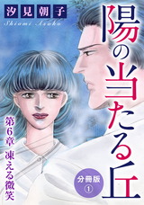 陽の当たる丘　分冊版15 第6章　凍える微笑　分冊版1 パッケージ画像