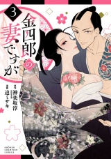 金四郎の妻ですが　3 パッケージ画像
